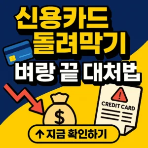 신용카드 돌려막기 리볼빙 현금서비스 카드론 연체개인회생 부채탕감 방법