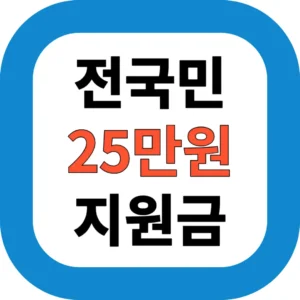 2025년 전국민 25만원 민생회복지원금 총정리