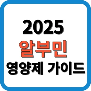 2025 알부민 영양제 가이드