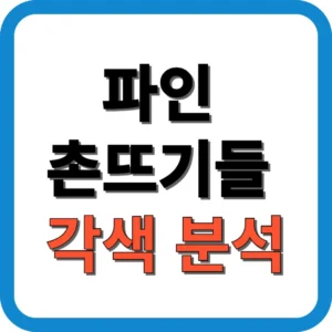 파인 촌뜨기들 각색 분석