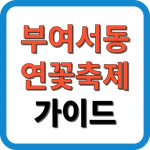 부여서동연꽃축제 가이드
