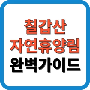 칠갑산자연휴양림 완벽 가이드