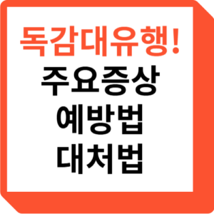 독감대유행 주요증상 예방법 대처법