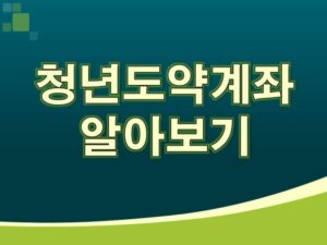 청년도약계좌