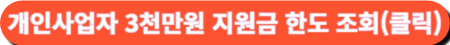 개인사업자 3천만원 지원금 한도조회