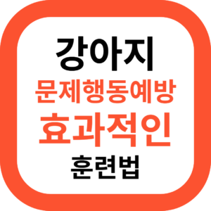 강아지 문제행동예방 효과적인 훈련법