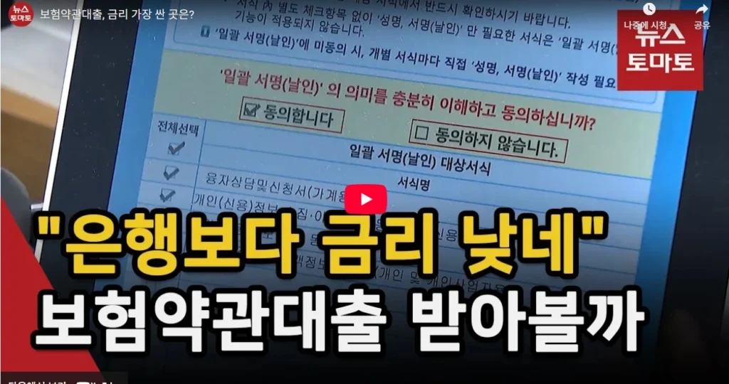 보험약관대출 이자율 비교｜삼성생명 vs 교보생명 총정리