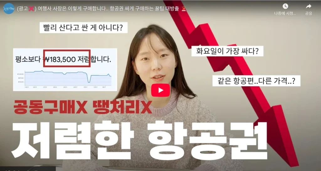 (광고❌) 여행사 사장은 이렇게 구매합니다.. 항공권 싸게 구매하는 꿀팁 대방출 🚨