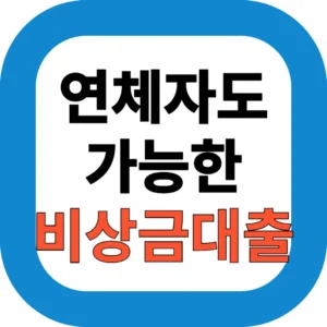 연체자도 신청 가능한 비상금대출 TOP 5 비교