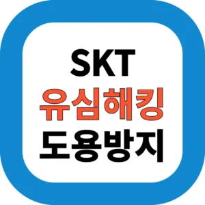 SKT 유심해킹 도용방지