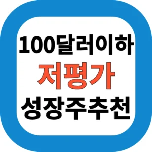 100달러이하 저평가 성장주 추천
