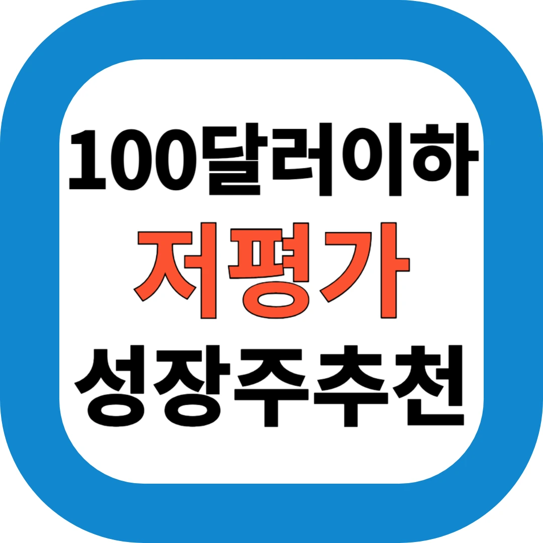 100달러이하 저평가 성장주 추천