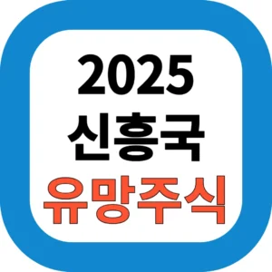 2025 신흥국 유망주식