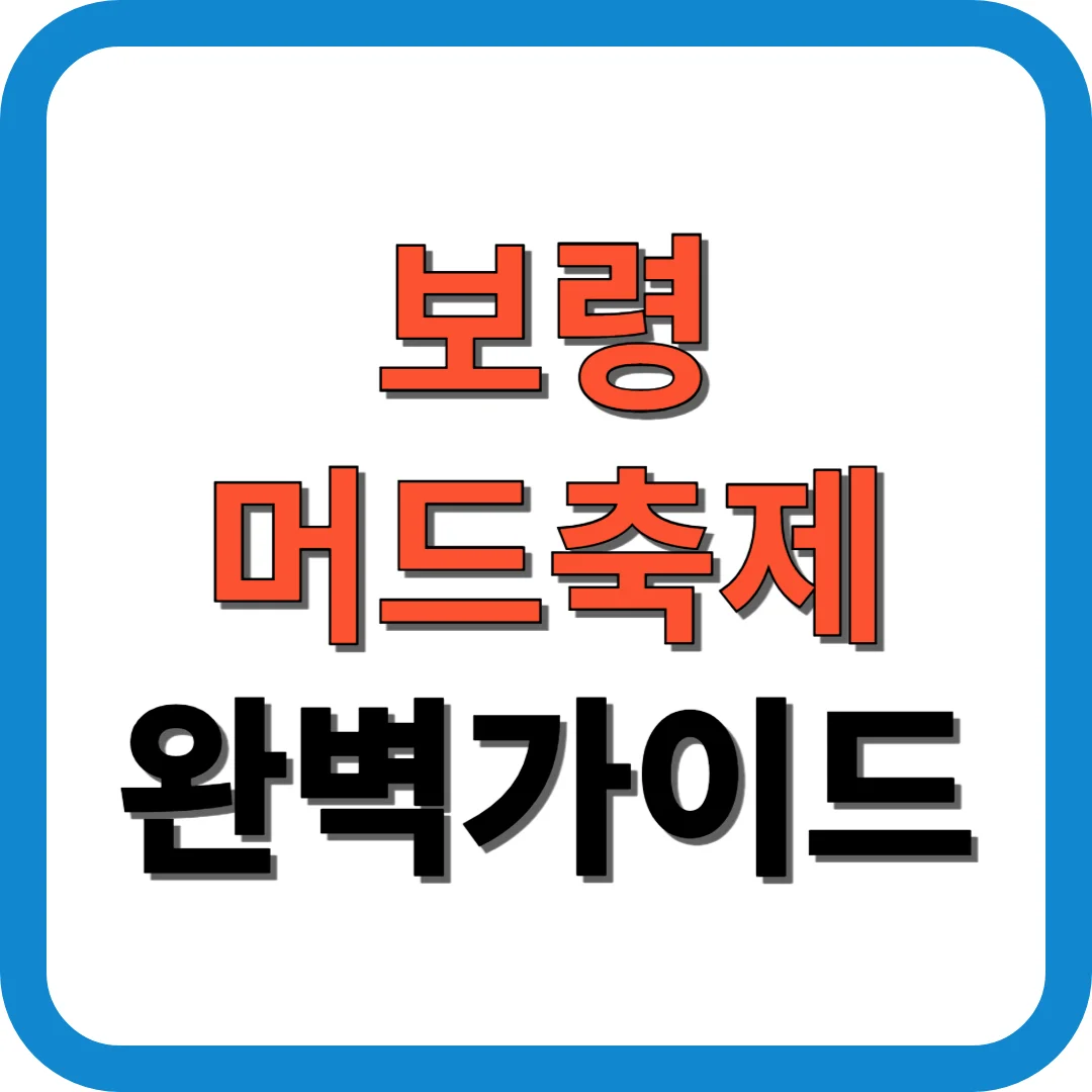 보령머드축제 완벽가이드