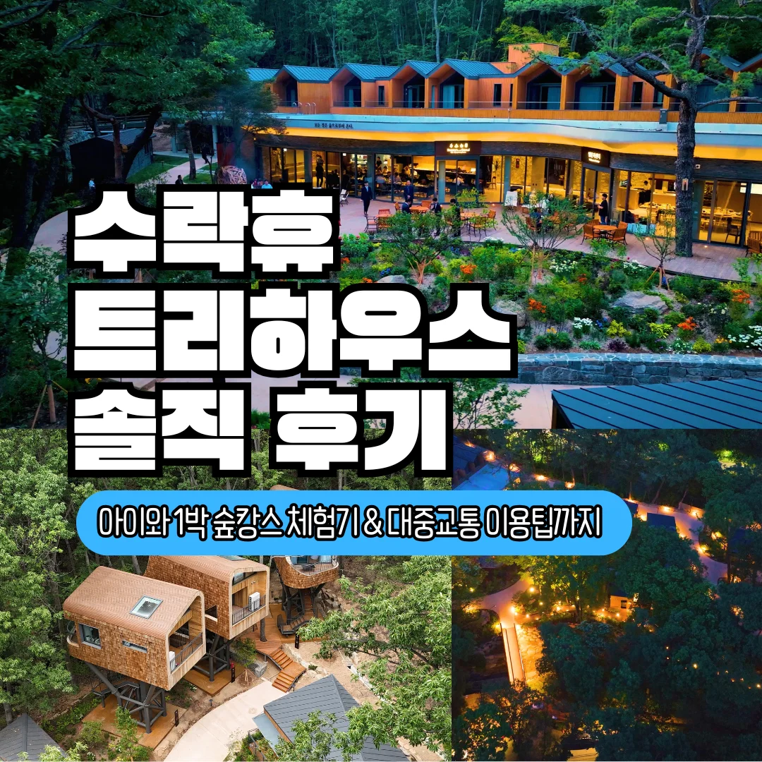 수락휴 트리하우스