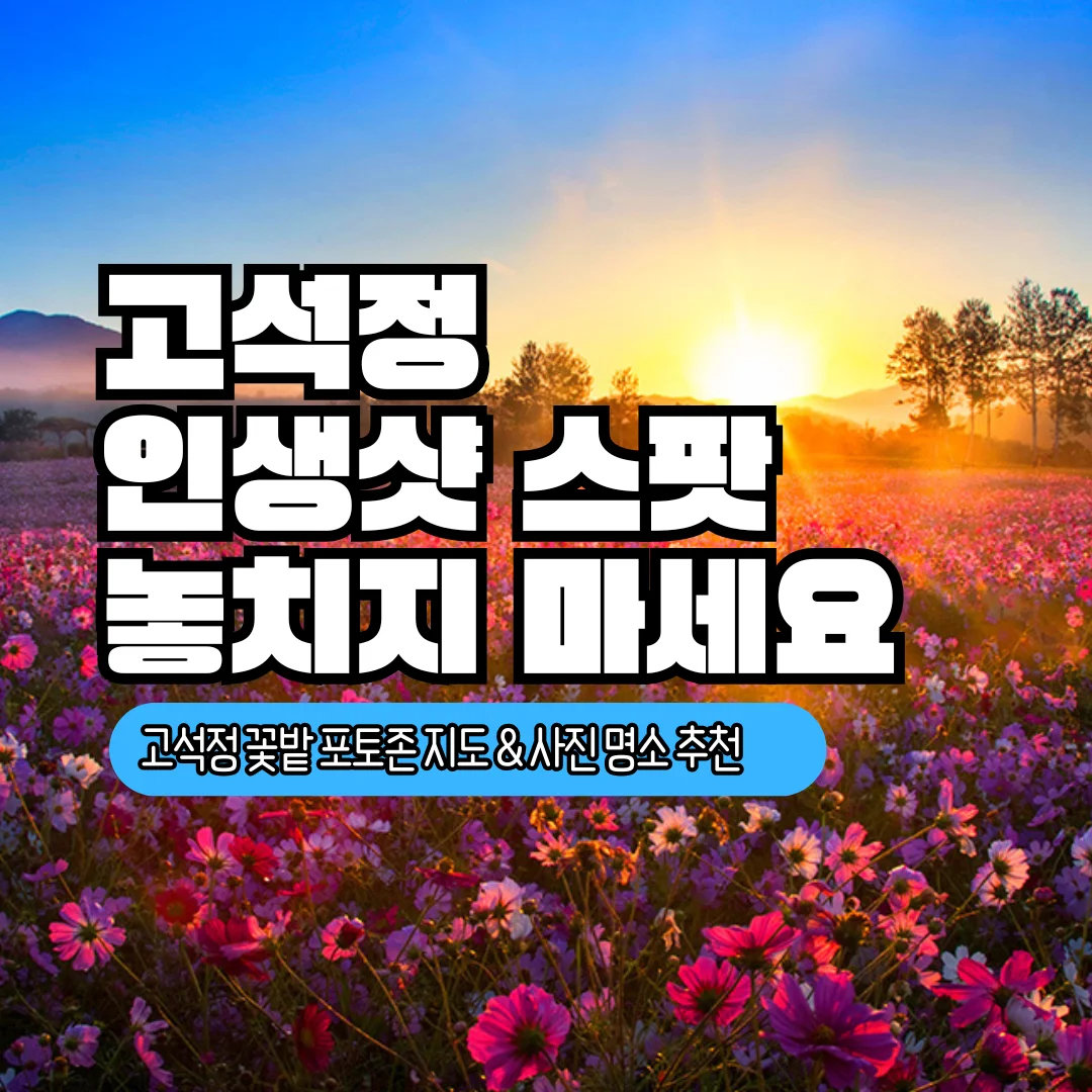 고석정